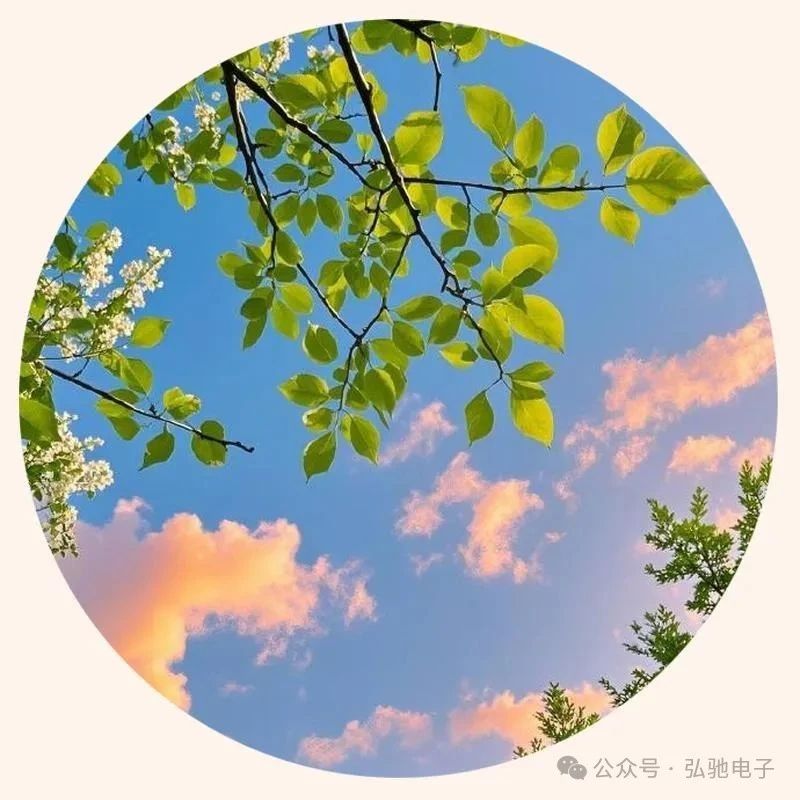 ͼƬ