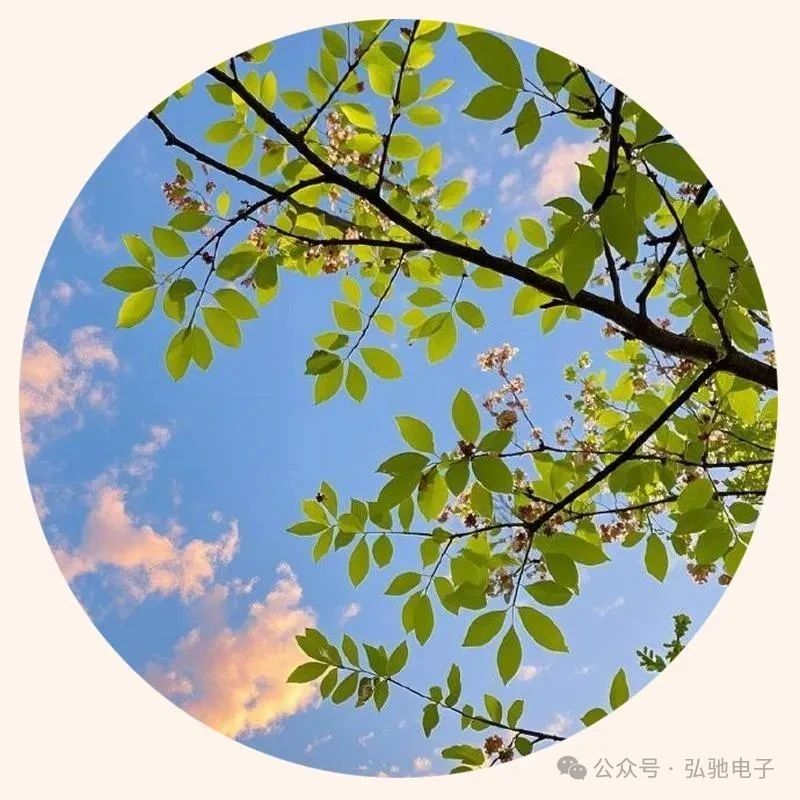 ͼƬ